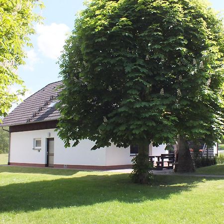 Ferienhaus Moni Mit 2 Separaten Wohnungen Am Silbersee Frielendorf Zewnętrze zdjęcie
