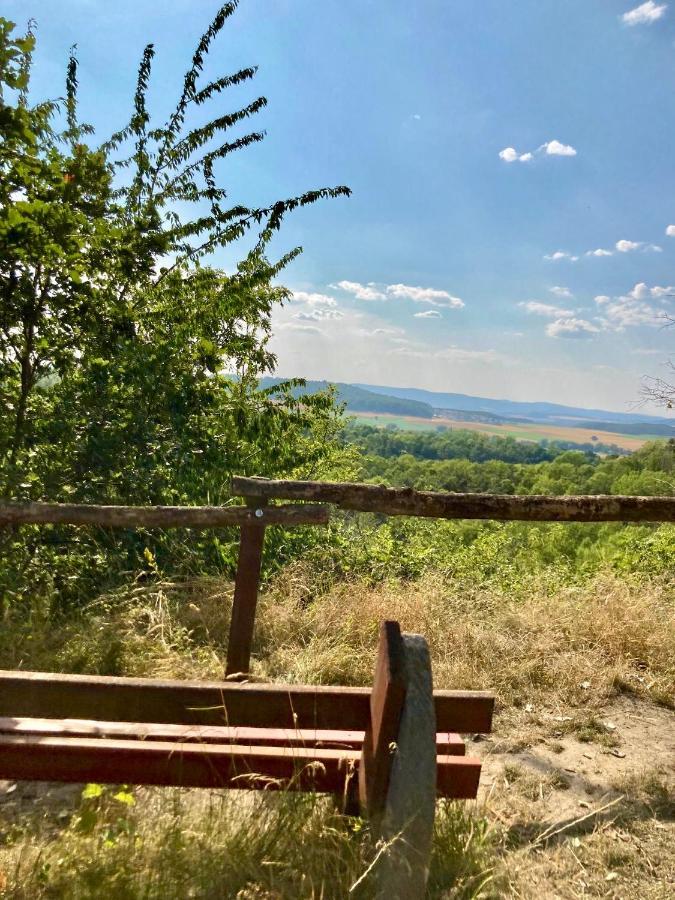 Ferienhaus Moni Mit 2 Separaten Wohnungen Am Silbersee Frielendorf Zewnętrze zdjęcie